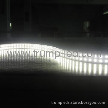 Double Row flex 3528 led stripe CE ROHS